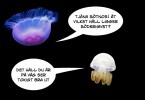 Även som manet kommer honor att dyrka mig. Tror jag. 
